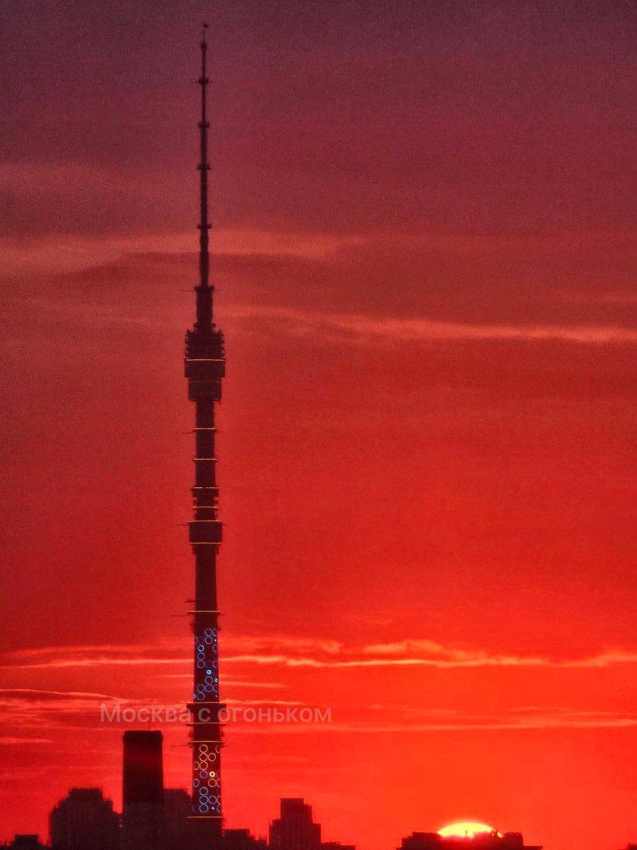 senore_amore tweet media