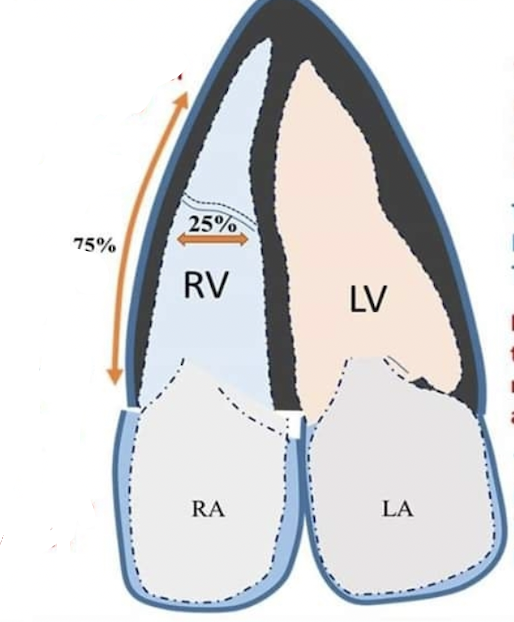 Alberto Cereda tweet media