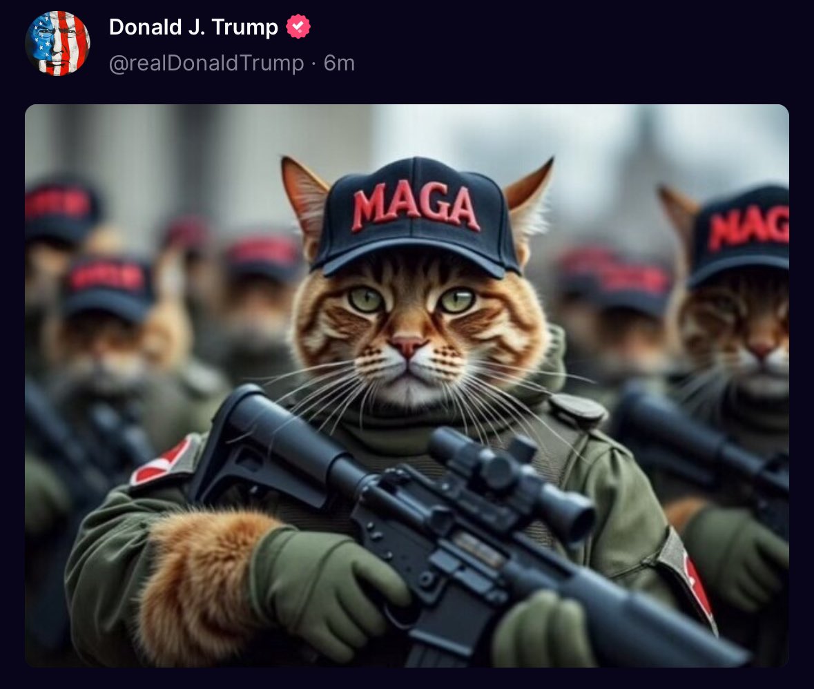 truckdriverpleb's tweet photo. Trump is posting cat memes in the hours leading up to tonight's historic Presidential debate 

LMFAO I love this man https://t.co/CaBykFxwV0