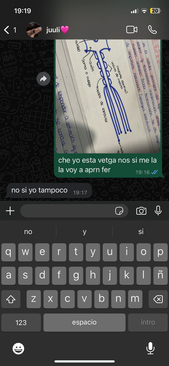 mucho novio y poco estudio e
