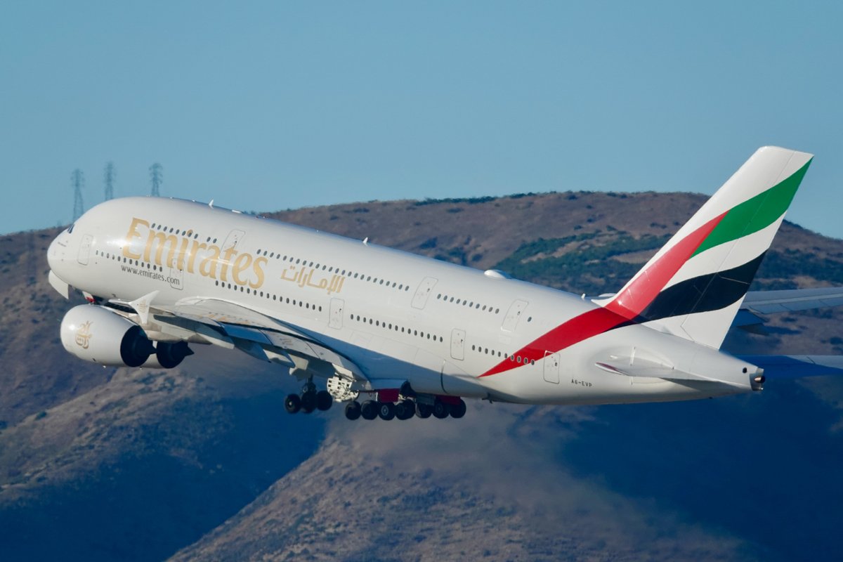 Zach Griff tweet media