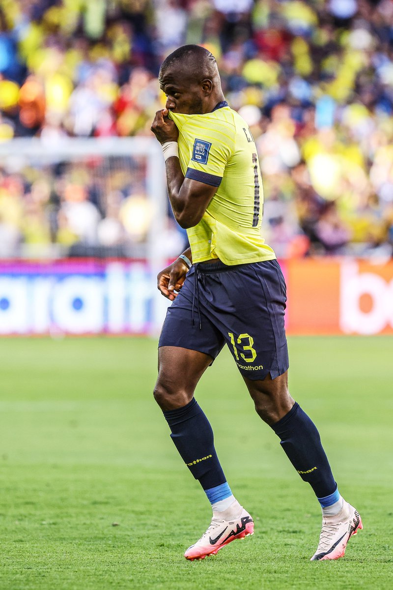 FIFA World Cup tweet media