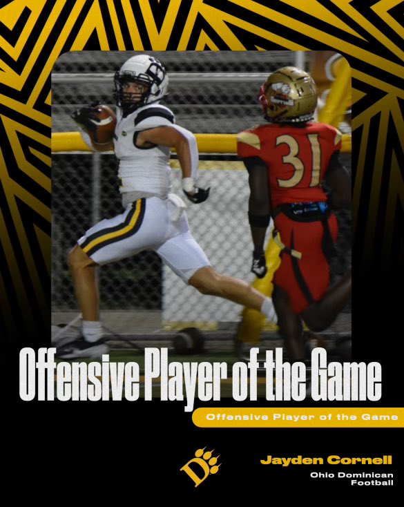 Ohio Dominican Football tweet media