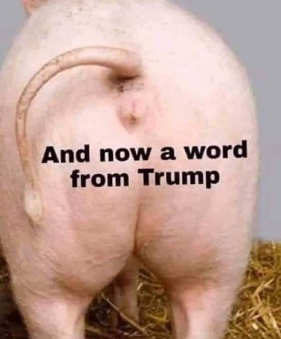 LePapillonBlu2's tweet image. Now, a word from Trump.