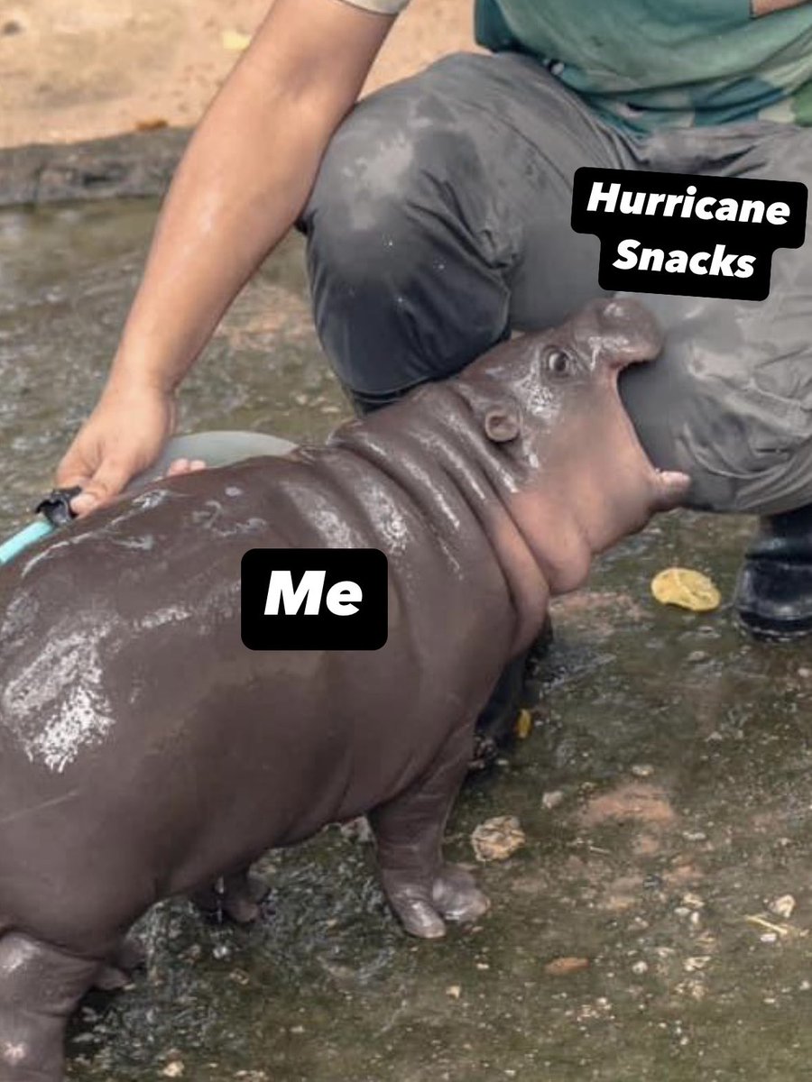 BryceEllPhoto's tweet image. 