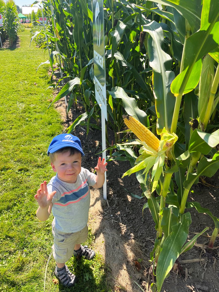 My future farmer/agronomist stopped by to see me at #COFS2024 at the <a href="/Maizex/">Maizex Seeds</a> campus today. Had to check out daddy’s corn #FutureFarmer #FieldbyField