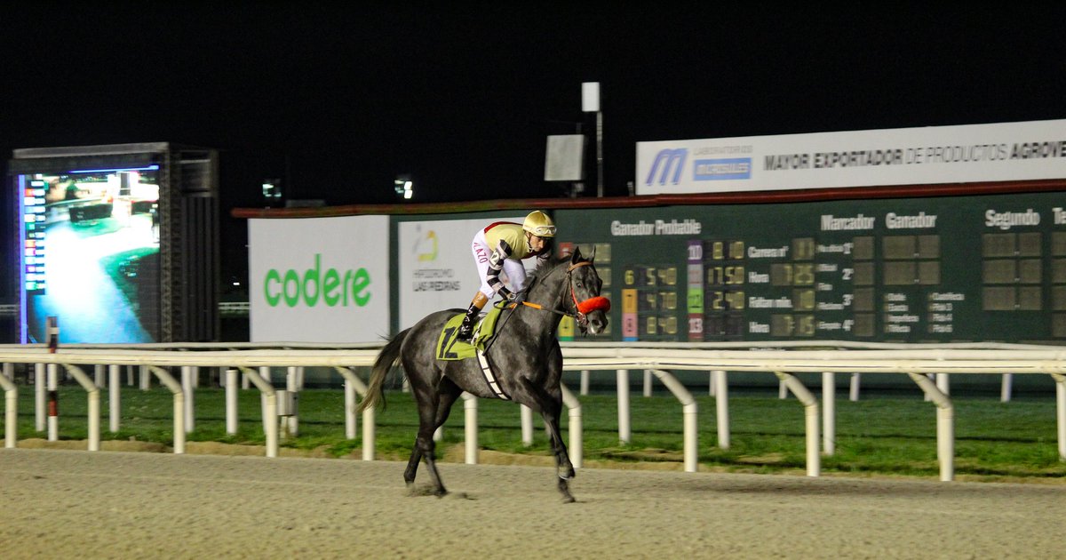 turf_uruguayo's tweet photo. #SuablenanavTH🏆
Gran muestra de poderio del Std&Hrs Phillipson en la Polla De Potrillos ,logrando el Double Event con #RockWalk y #SublenanavTH.
Gran destaque para A.Cintra y su equipo, logrando también el Double Event , y además conseguir la Polla De Potrancas con #Devassa. https://t.co/yGej5If17z