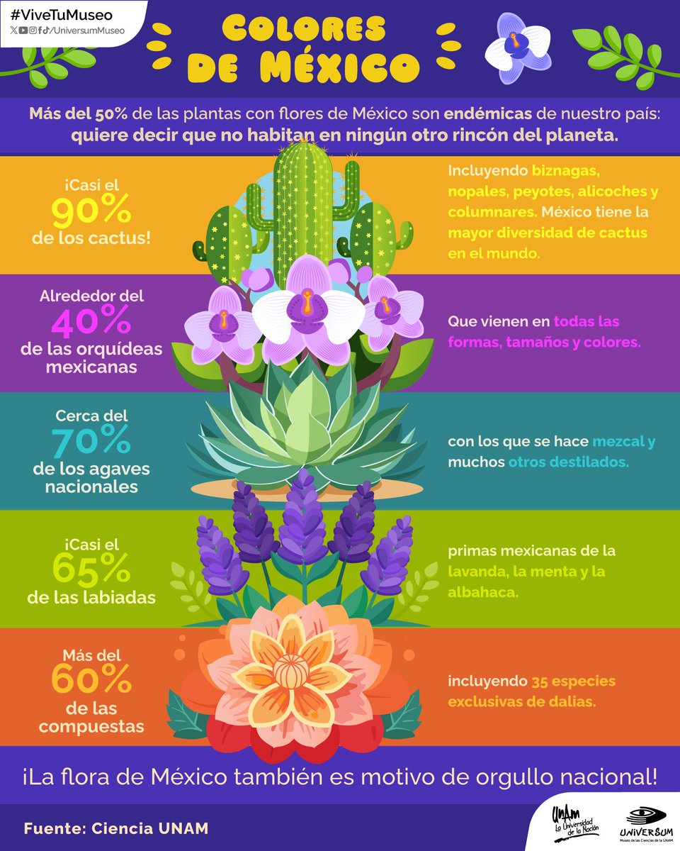 UniversumMuseo's tweet photo. Descubre la diversidad de color en la flora mexicana 🌸🇲🇽

¿Cuál es tu favorita? 🤗🌺

#ViveTuMuseo https://t.co/UTwsteOo9M