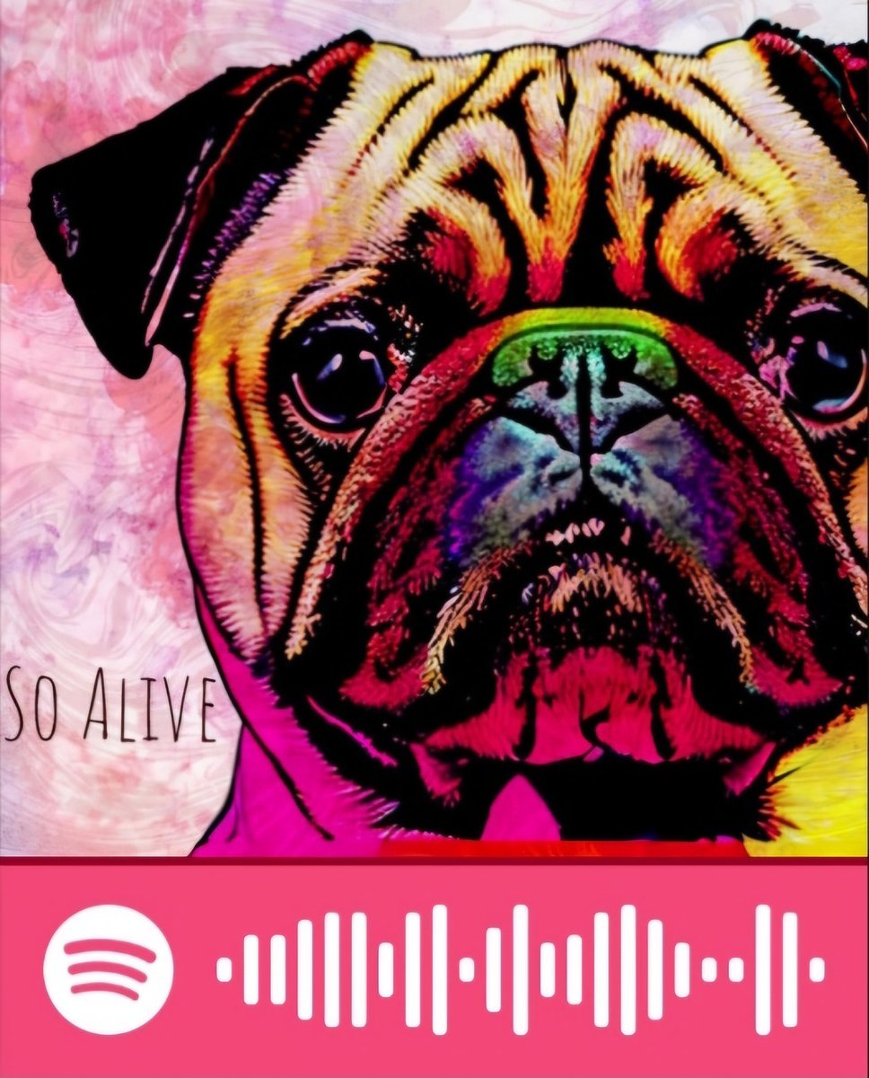BettingJakes's tweet photo. A year has passed since #JakeGary released #SoAlive on Spotify. The track takes influence from #Empireofthesun and #RichardAshcroft. More songs are planned in the future taking influence from #ArcticMonkeys and #Oasis

https://t.co/dU5ZKs3miD https://t.co/DkdIcr1lTn