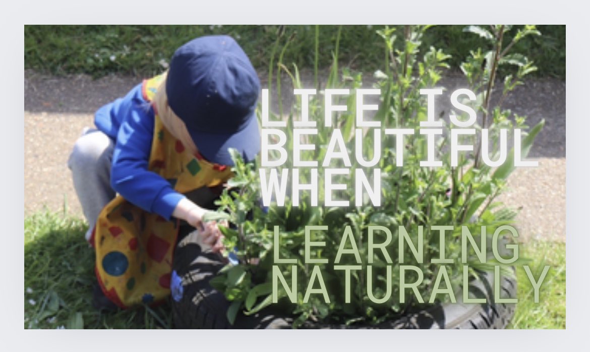 Learning Naturally at Beddington Infants' School tweet media