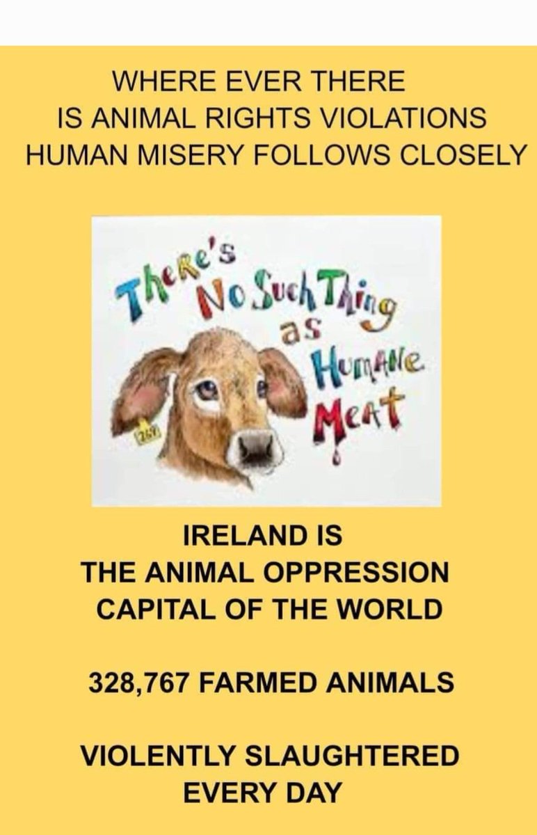 DenisNealis1's tweet photo. The Animal Rights Road Campaign is in Carlow Town, Kennedy Ave, Carlow Shopping Centre next Saturday, September 14th from 2.00pm to 4.00pm.

This is an Outreach and Education event to highlight the plight of animals in Ireland, now the animal oppression capital of the world. https://t.co/dbS4ibqsqb