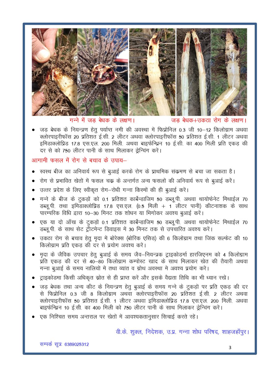 गन्ने की पत्तियों में पीलापन के सम्बन्ध मे आवश्यक दिशा निर्देश।
#Sugarcanefarmer #farmers #UttarPradsh #informationtechnology 
<a href="/CMOfficeUP/">CM Office, GoUP</a> <a href="/UPGovt/">Government of UP</a> <a href="/InfoDeptUP/">Information and Public Relations Department, UP</a> <a href="/UPCane/">Cane Development UP</a>