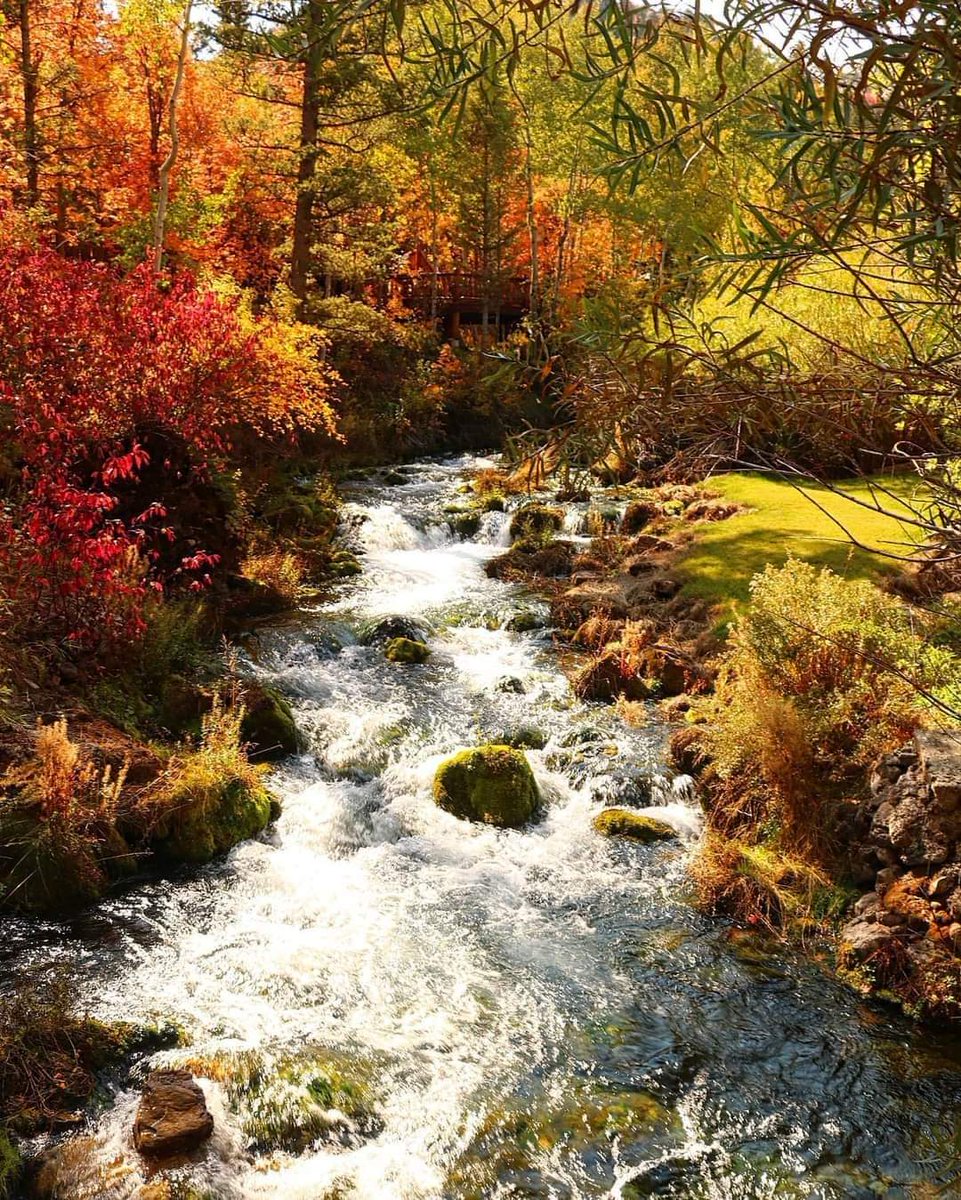 CDyerBearLake's tweet photo. @PostMalone fall photos you requested https://t.co/q9KYlacfsZ
