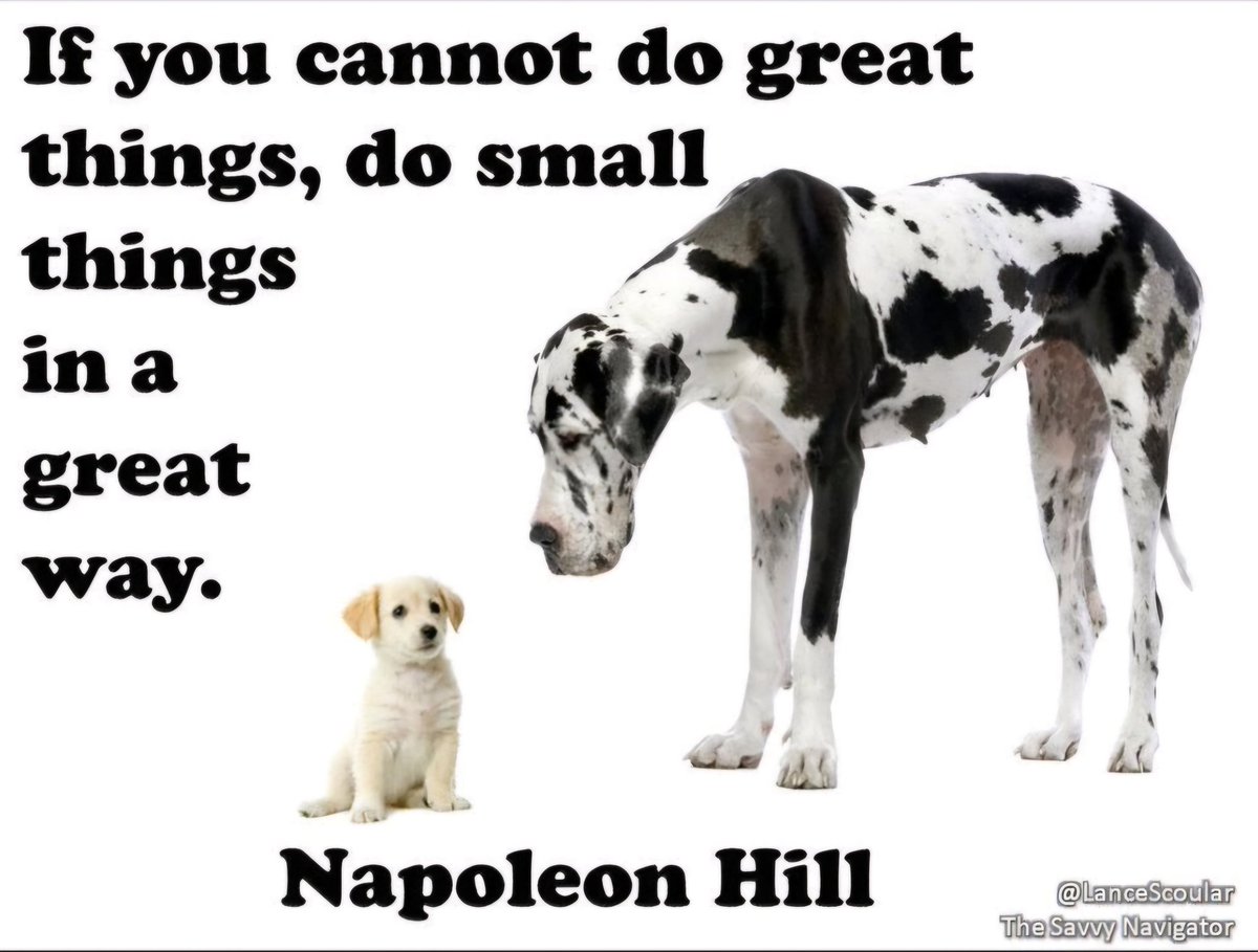 LanceScoular's tweet photo. 🐩 If you cannot do great things,
do small things in a great way.
Napoleon Hill
#greatthings #smallthings #greatway https://t.co/ezTbHNdjPq