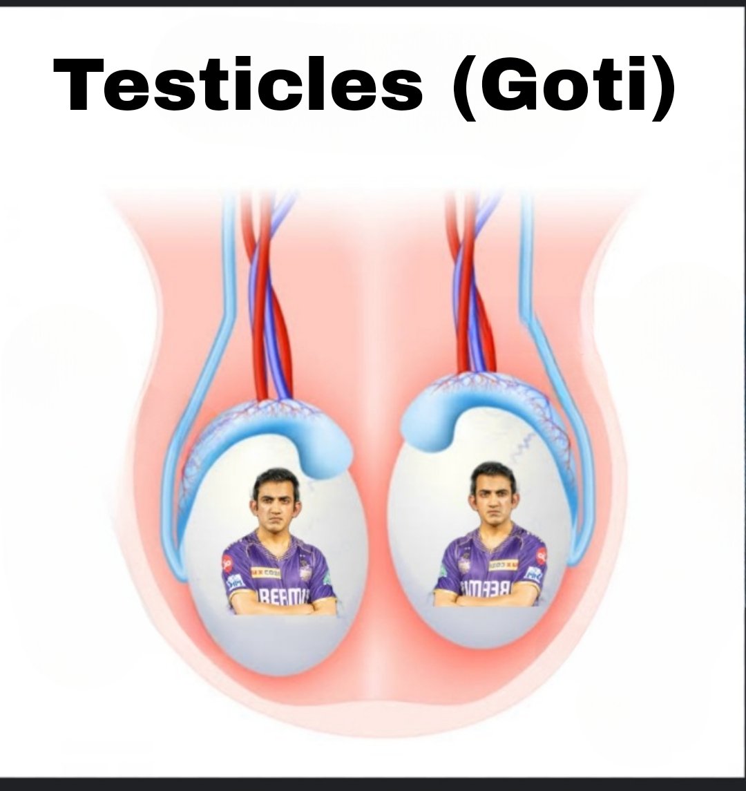 Goti bhai 😍😍