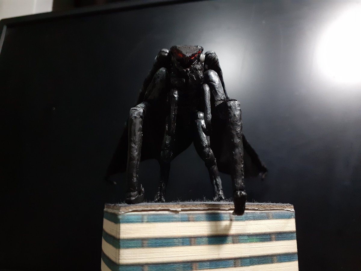 FA Customs tweet media