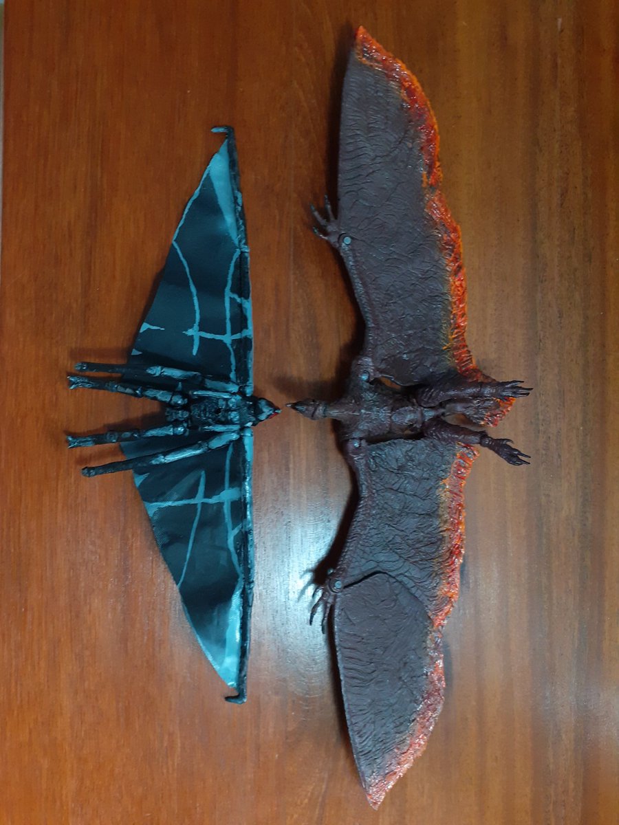 FA Customs tweet media