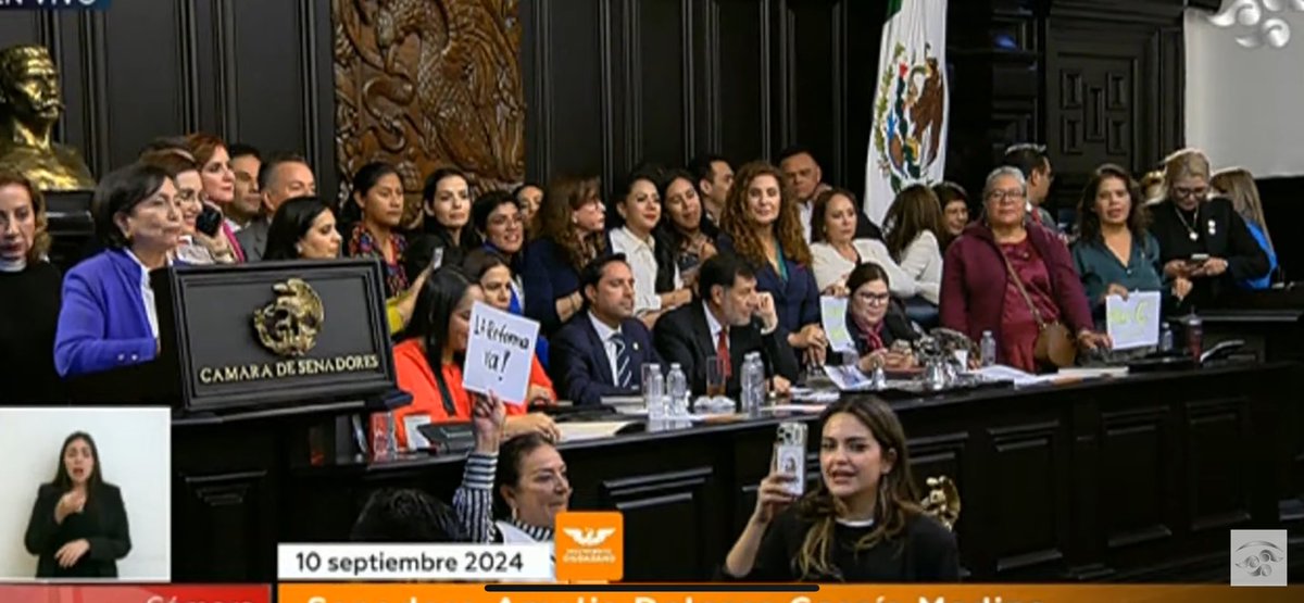 otakuMGS's tweet image. Te amoooooo @AndreaChavezTre excelente trabajo en el senado, somos el pueblo y estamos con ustedes no están solos ❤️❤️ #LaReformaVa #LaReformaAlPoderJudicialVa