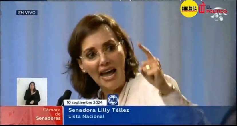 elpoderenmexico's tweet image. Desquiciados, juniors, y desequilibrados, se muestran impunemente para defender lo indefendible.
#LaReformaAlPoderJudicialVa