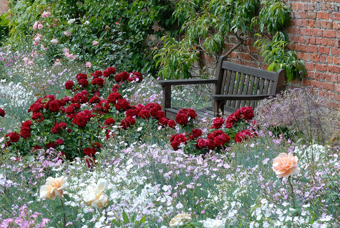 Cranborne Manor Garden is open today from 9.30am - 5pm (last entry 4pm)
#garden #Open <a href="/CranborneGarden/">Cranborne Garden Cen</a>