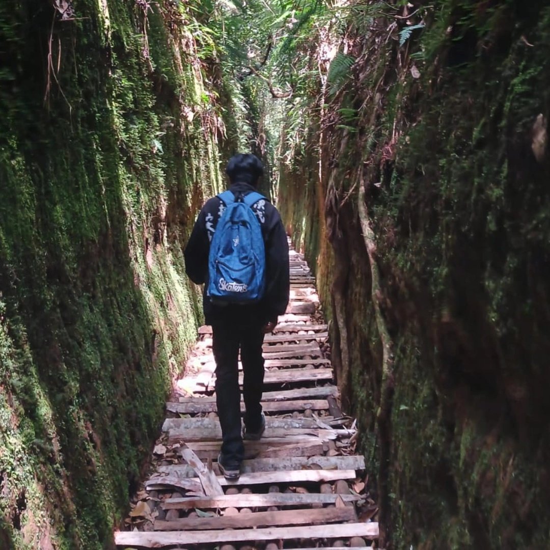 setiawan tweet media