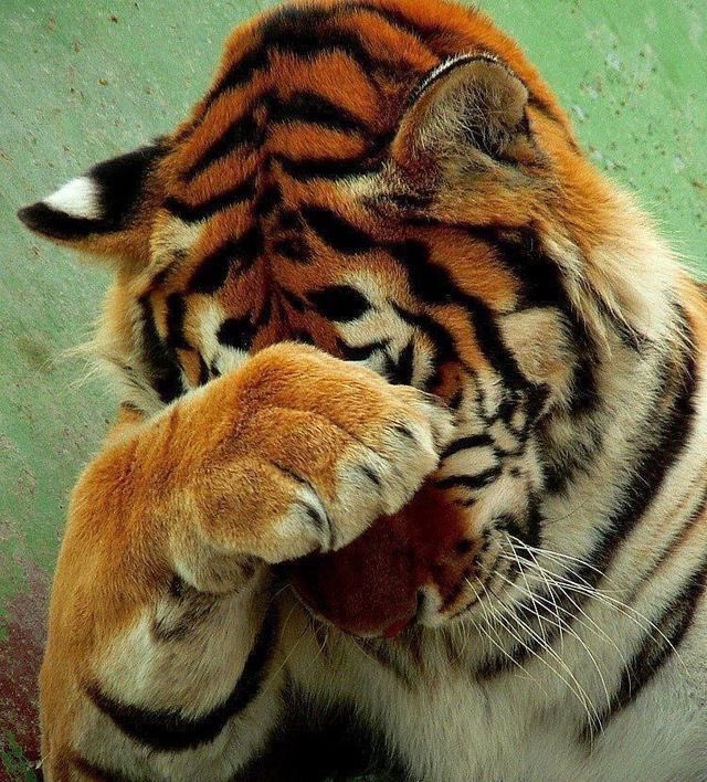 sulky80715248's tweet photo. Every day is filled with longing https://t.co/MevRPh3Vni