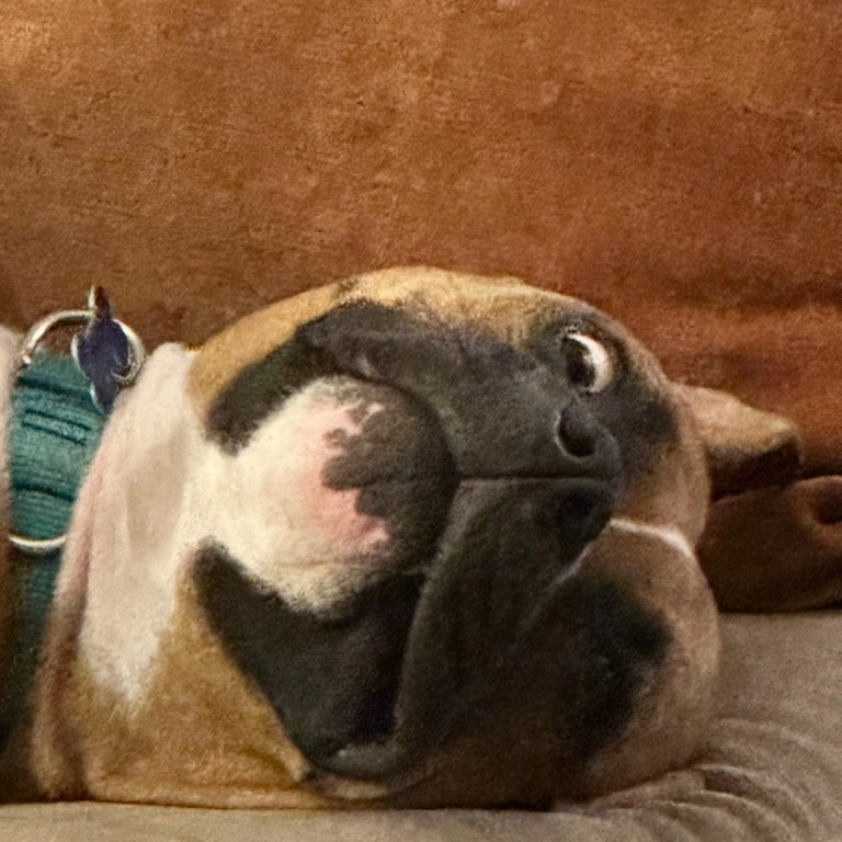 Rory's dad tweet media