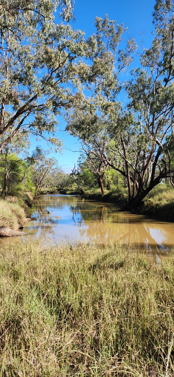Archaeologist Neve was able to capture some great fieldwork shots recently in north Queensland!
We are privileged to work with Traditional Custodians to preserve cultural heritage.
#EverickHeritage #Fieldwork #landscape #Country #Heritagematters