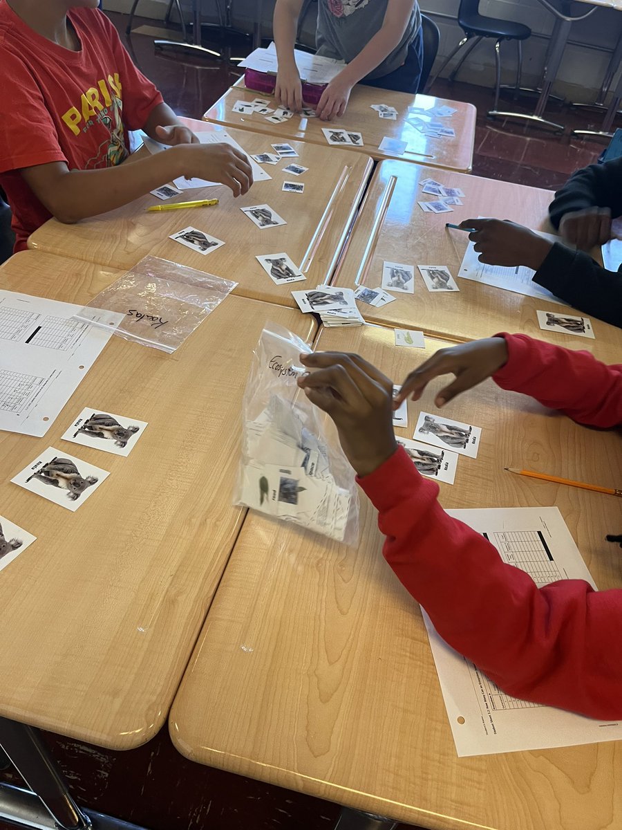 Mrs. Killough’s 7th graders at Decatur Middle discovering what the carrying capacity of an ecosystem is by trying to keep their koalas alive. <a href="/AMSTI_Athens/">AMSTI Athens State</a> <a href="/AMSTI4all/">AMSTI</a> <a href="/DecaturCityEdu/">Decatur City Schools</a>