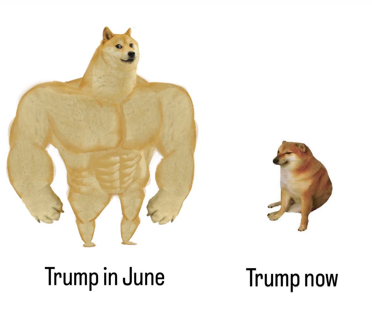 Elijah Manley tweet media