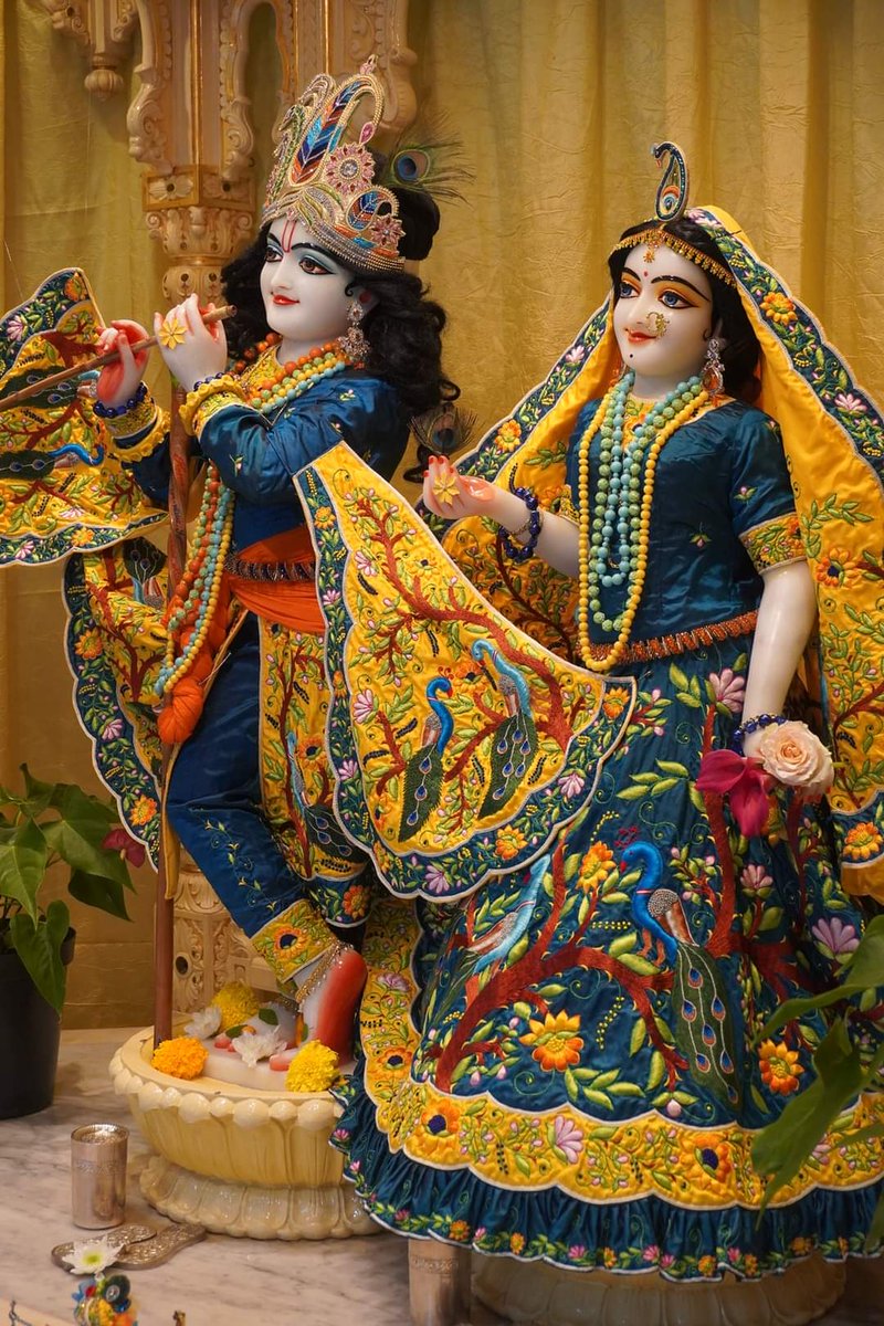 पावन राधा अष्टमी की सभी श्रद्धालुओं व देश वासियों को हार्दिक बधाई!

निष्काम, निश्छल और अलौकिक प्रेम की शाश्वत प्रतीक श्री राधा रानी जी की कृपा संपूर्ण सृष्टि पर बनी रहे।

उनकी अनुकंपा से सभी का जीवन प्रेममय, आनंदमय, मंगलमय और सुखमय हो, यही प्रार्थना है।

जय जय श्रीराधे!