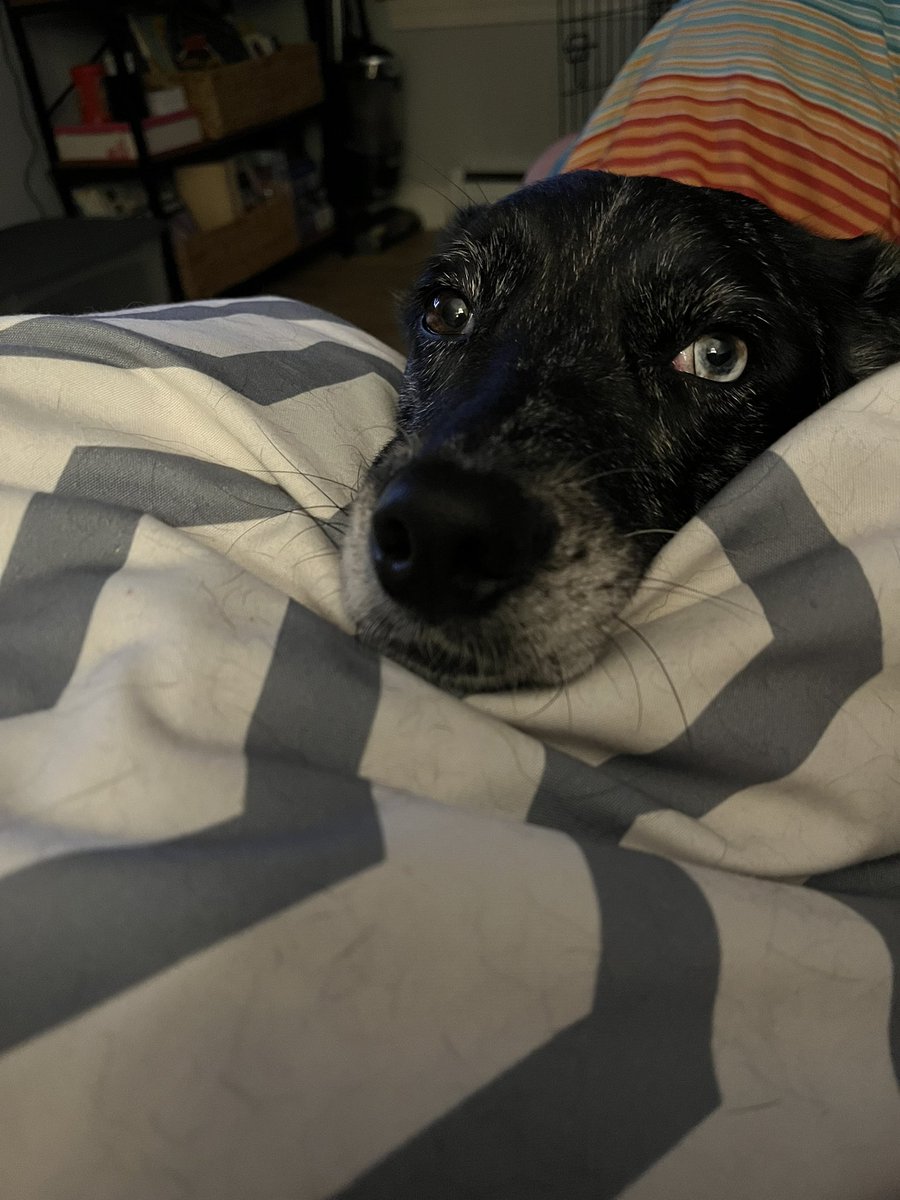 She’s watching me watching the debate