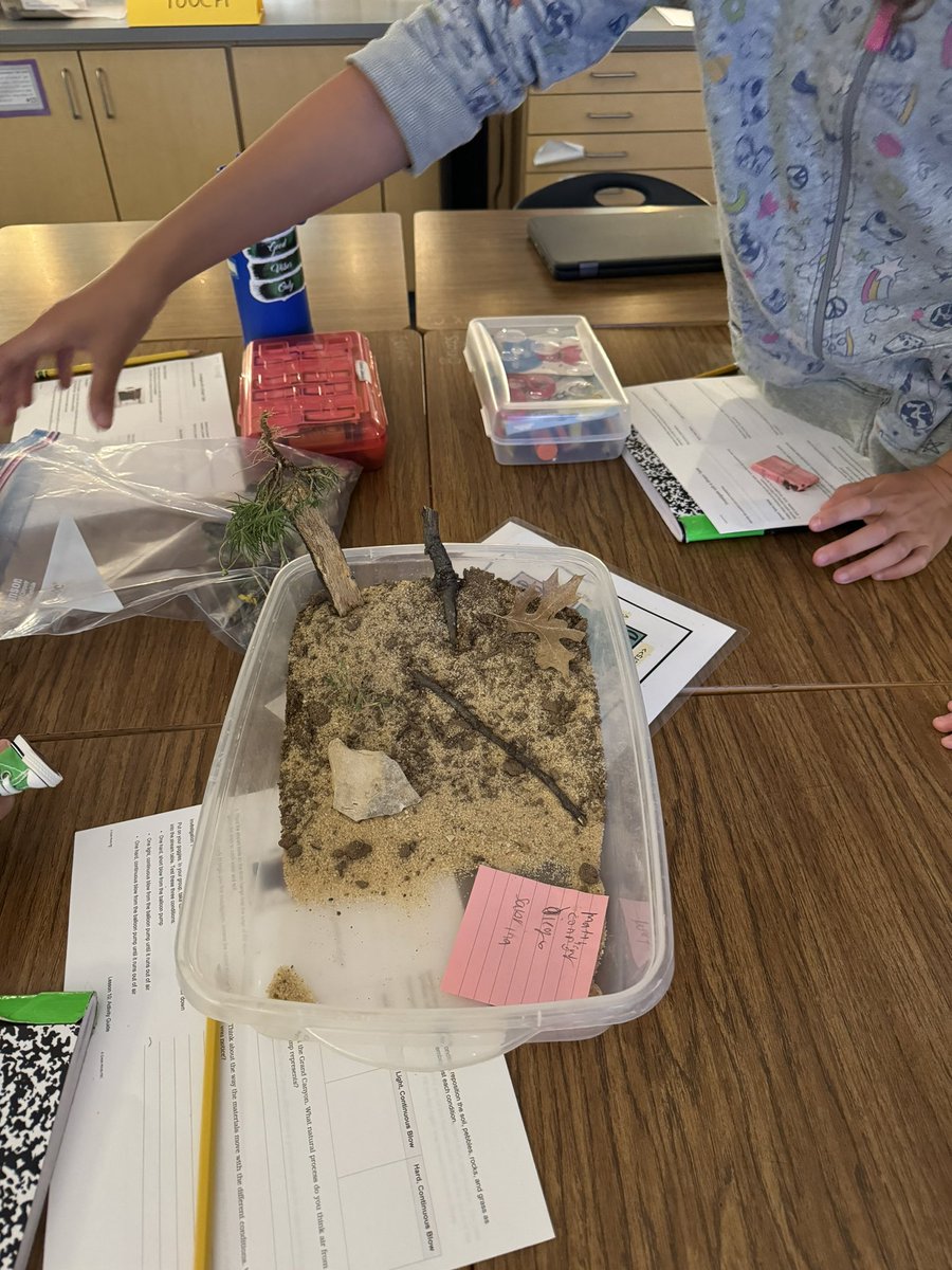 Amanda Dickson tweet media