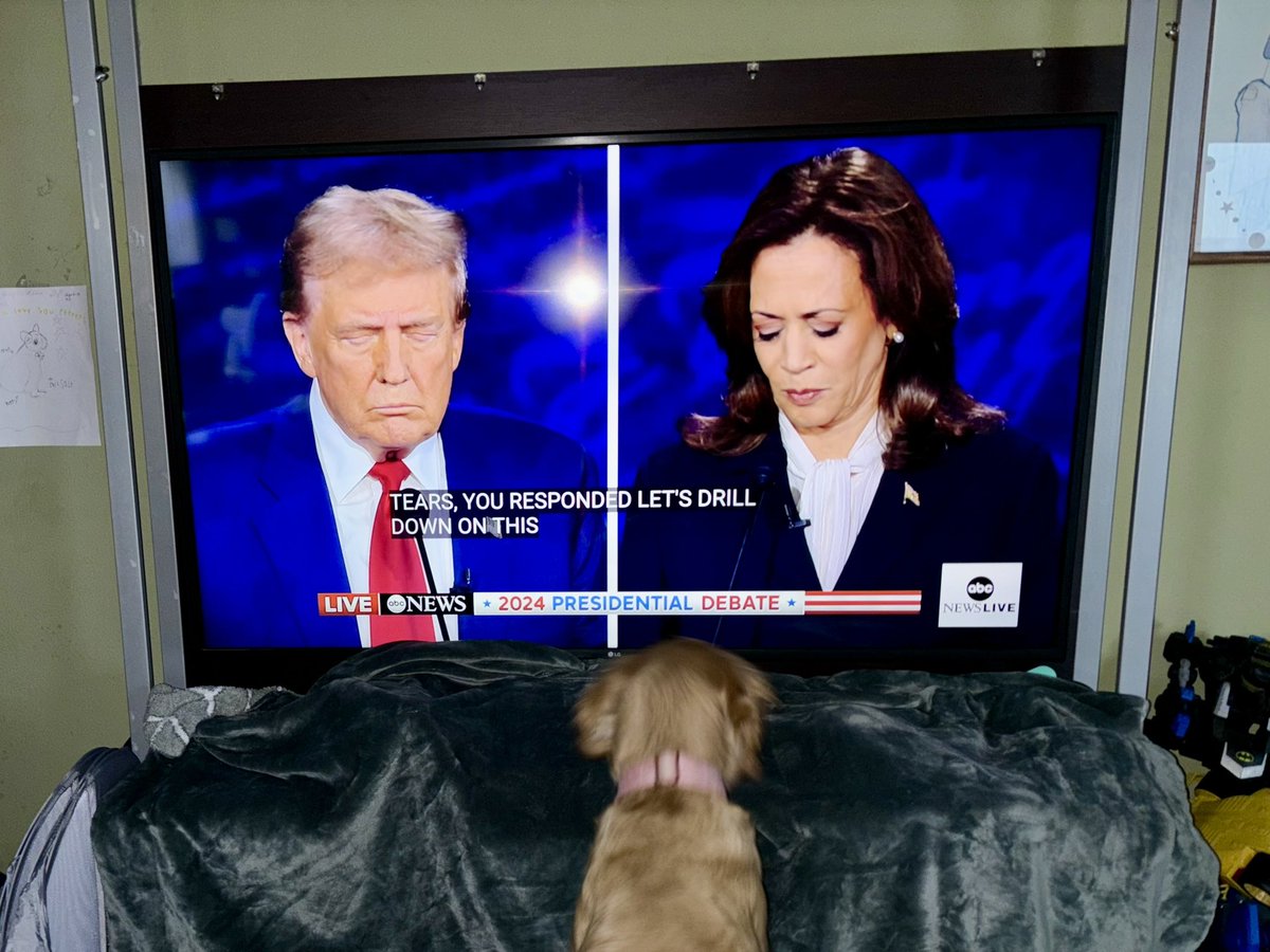 My dog and I watching this debate! We in our house <a href="/standwithcrypto/">Stand With Crypto🛡️</a>