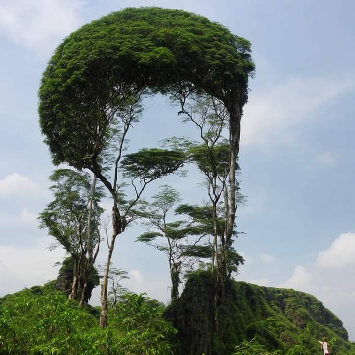 HNoping's tweet image. #FotoProfilBaru