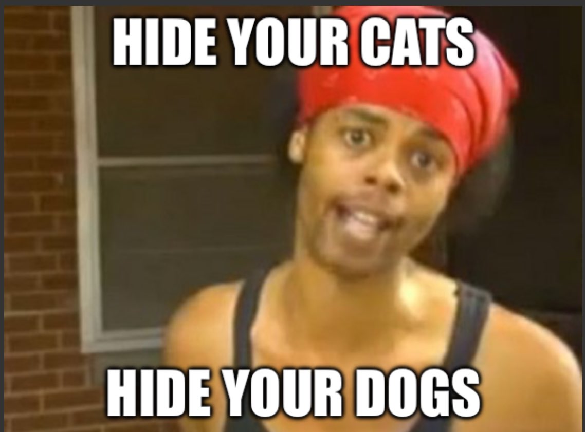 TravRad's tweet image. #Debate2024