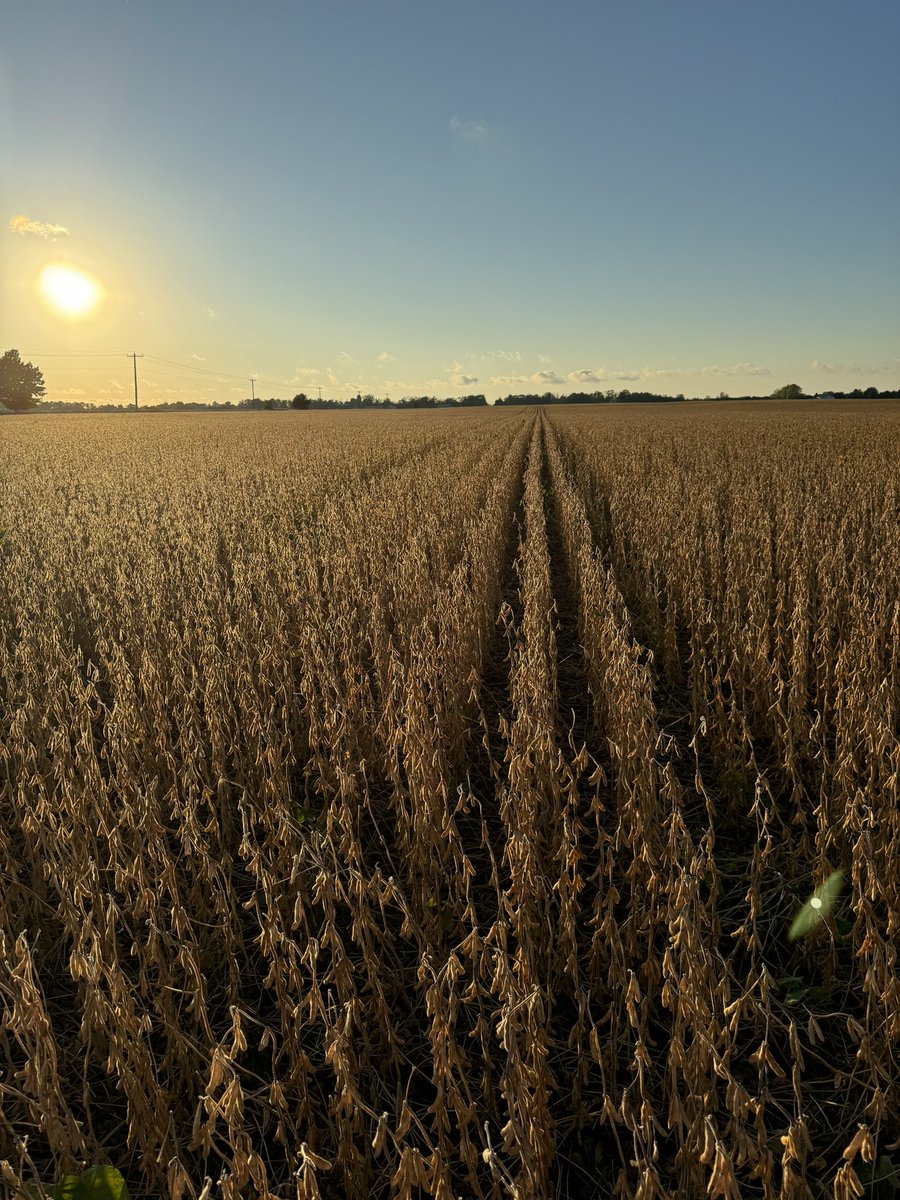 Jon Wilken tweet media