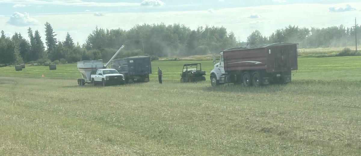The 2024 <a href="/PioneerSeedsCA/">Pioneer Seeds Canada</a> PKPs were harvested today at JJ Farms. 7 Liberty Link clubroot resistant varieties. Stay tuned for results. #NOLA