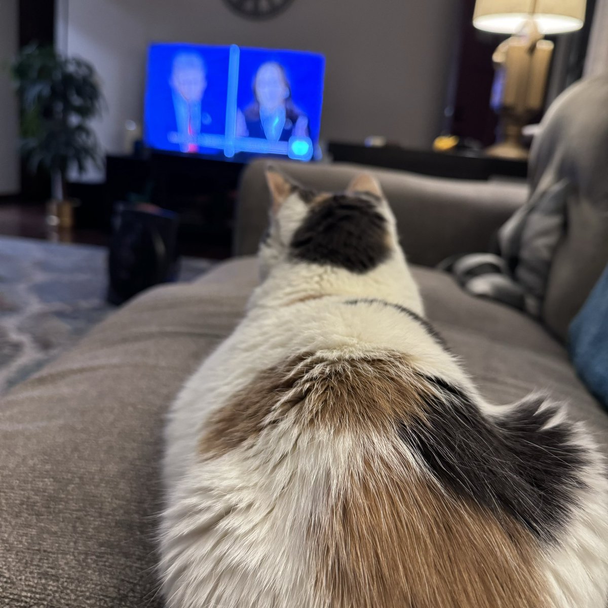 Doug Schlesser tweet media