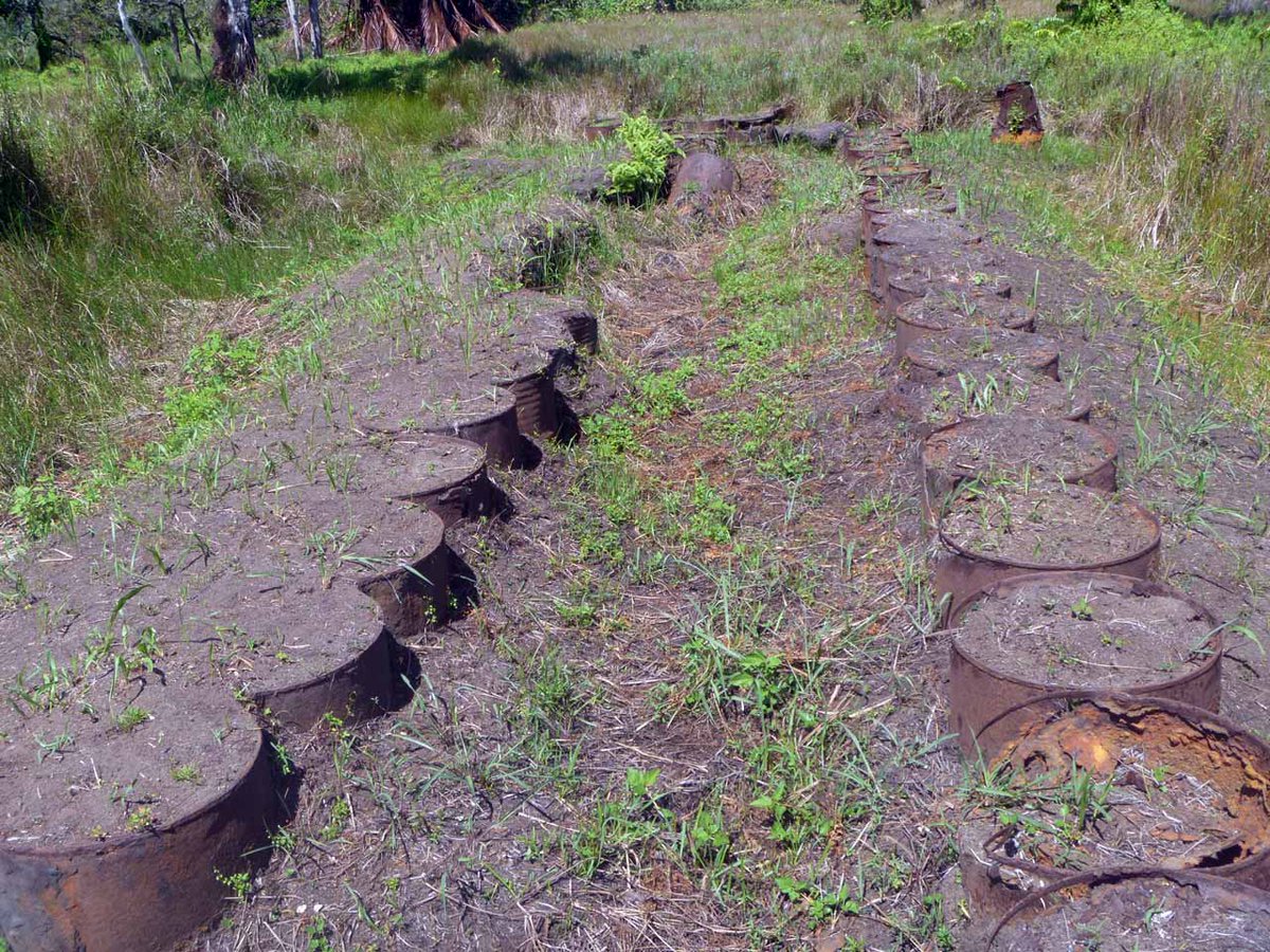 The second phase of the 18th Brigade attack at Buna was the 2/10th Battalion attack along Old Strip. The Japanese had strong bunker positions at the western edge of the airstrip. Coconut logs were laid over the earth-filled drums base. The base of one of those bunkers remains.