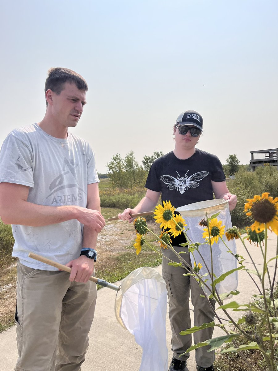 vhgonzab's tweet image. Great day in the field with our graduate students and Liam Wrixon (Haskell Univ), a scholar in KU’s BioGEM Post-baccalaureate Research Program, supported by the NSF. Excited to see Liam working on the thermal ecology of pollinators this year! 🐝🌿 #PollinatorResearch #bees #NSF