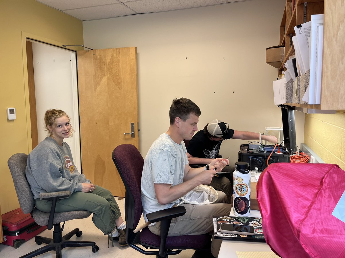 vhgonzab's tweet image. Great day in the field with our graduate students and Liam Wrixon (Haskell Univ), a scholar in KU’s BioGEM Post-baccalaureate Research Program, supported by the NSF. Excited to see Liam working on the thermal ecology of pollinators this year! 🐝🌿 #PollinatorResearch #bees #NSF