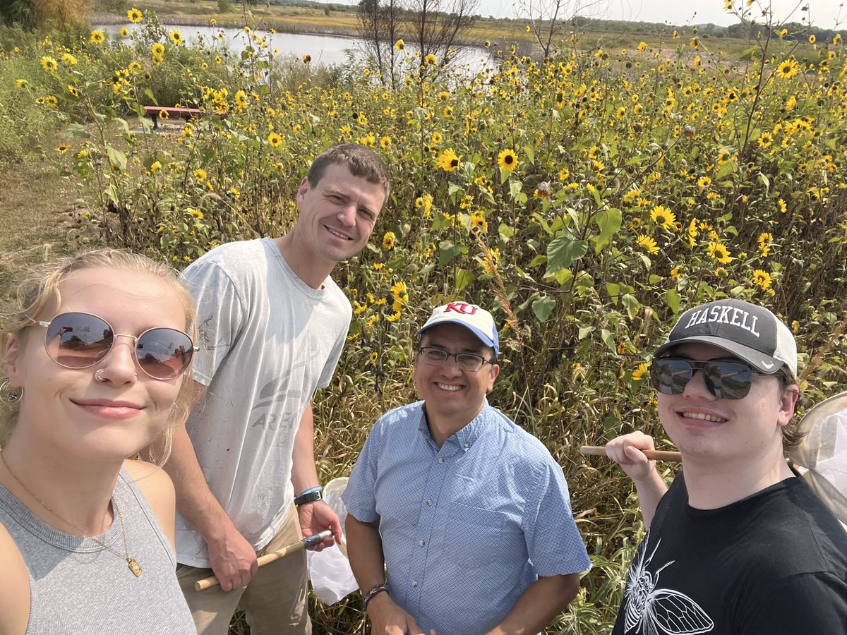 vhgonzab's tweet image. Great day in the field with our graduate students and Liam Wrixon (Haskell Univ), a scholar in KU’s BioGEM Post-baccalaureate Research Program, supported by the NSF. Excited to see Liam working on the thermal ecology of pollinators this year! 🐝🌿 #PollinatorResearch #bees #NSF