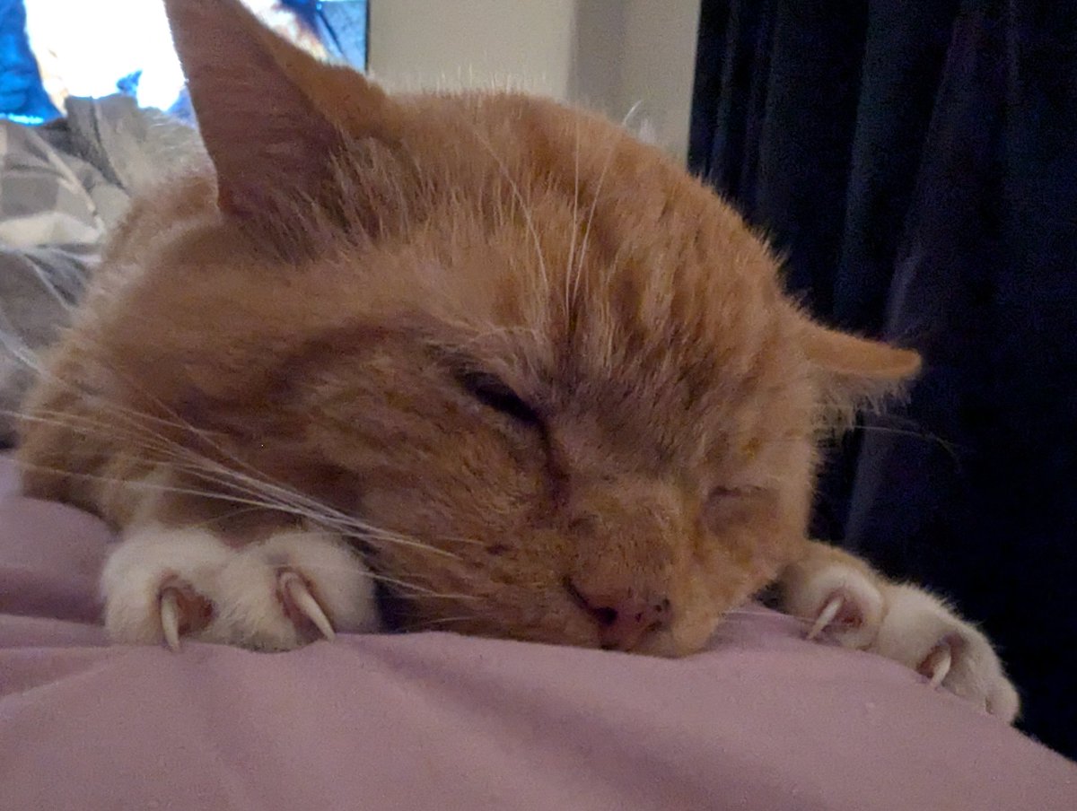 put those fucking weapons away you are literally asleep