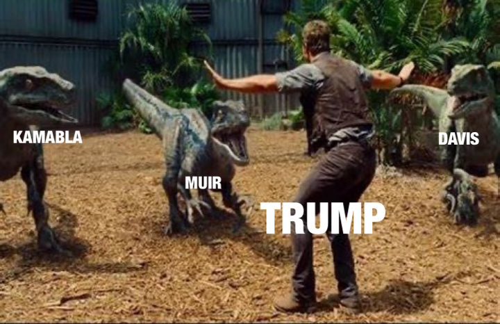 CardanoCaptain_'s tweet image. 