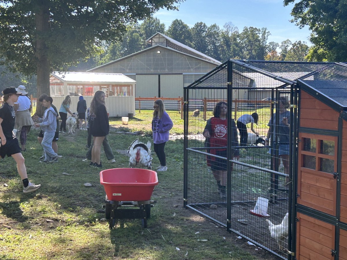 Tim Hamman tweet media