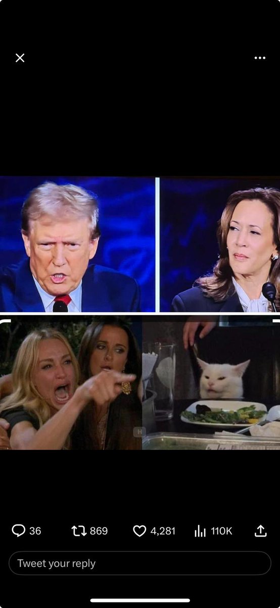MyCookingCorner's tweet image. #TrumpHarrisDebate #KamalaHarris #TrumpIsUnfitForOffice