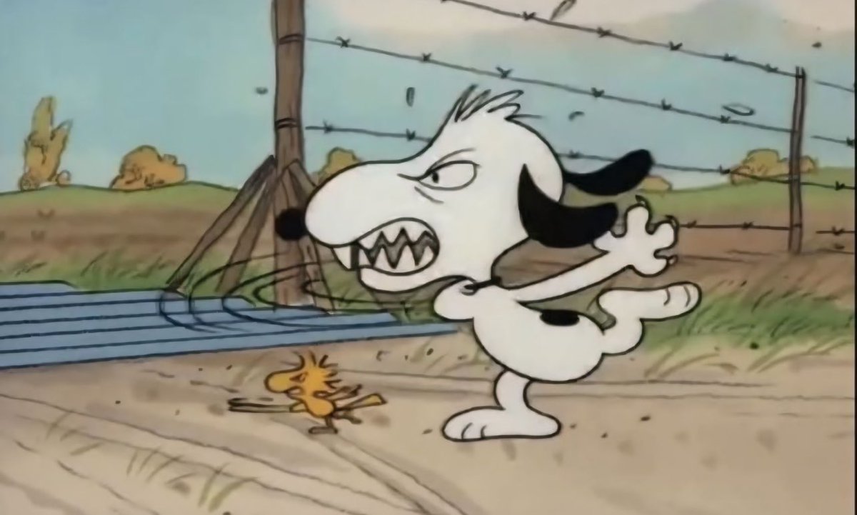 me if i was at the debate