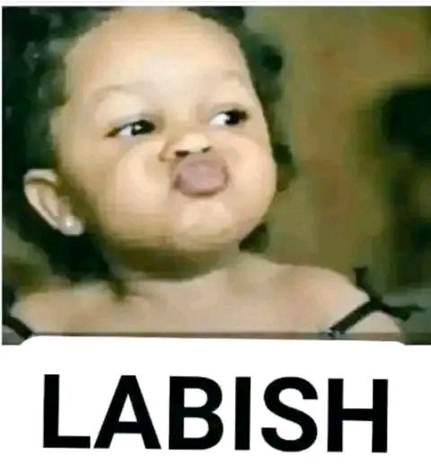 Dofo dhanda head tweet media