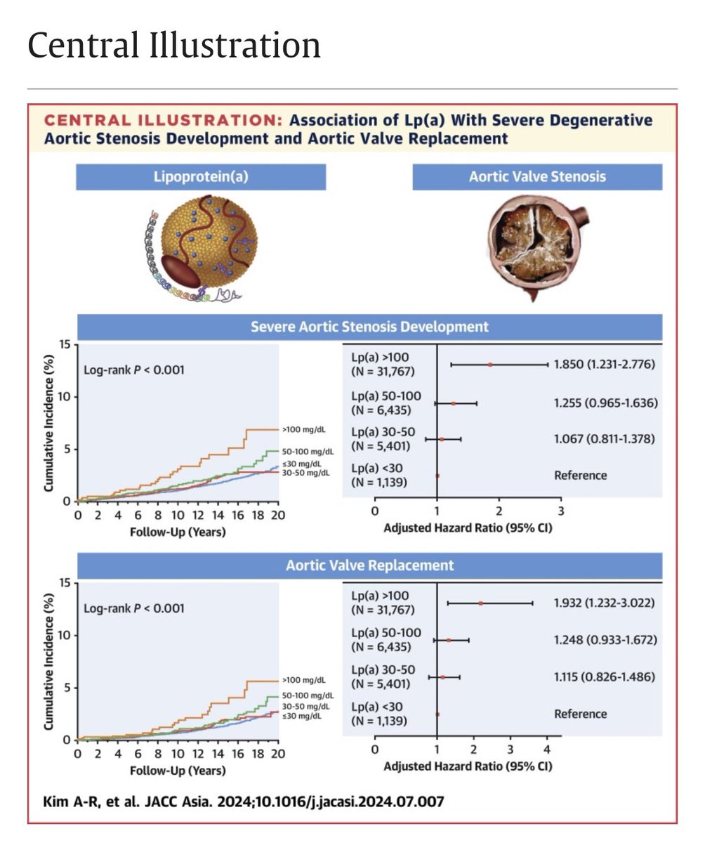 Association of Lipoprotein (a) with Severe Degenerative Aortic Valve Stenosis
Reference: JACC ASIA 2024

kwnsfk27.r.eu-west-1.awstrack.me/L0/https:%2F%2…